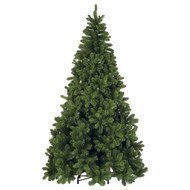 Triumph Tree  -, 200 , 