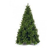 Triumph Tree  -, 215 , 