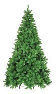 Triumph Tree  -, 305 , 