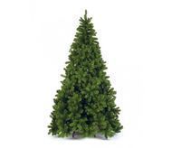 Triumph Tree  -, 365 , 