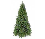 Triumph Tree  -, 215 , 248    , 
