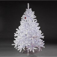 Triumph Tree  , 120 , 