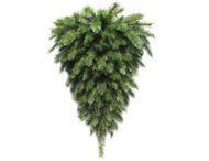 Triumph Tree -  , 90 , 