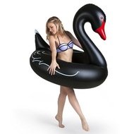   Black Swan, 122122110 