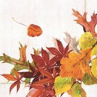 Paperproducts Design  Golden Autumn , 16.516.5 , 20 .