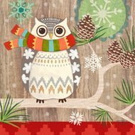 Paperproducts Design  Owl with Scarf , 16.516.5 , 20 .