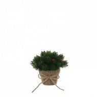 Triumph Tree   , 1412 ,  , 