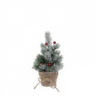 Triumph Tree    , 24 ,  , 