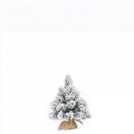 Triumph Tree  , 45 ,  , 