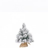 Triumph Tree  , 60 ,  , 