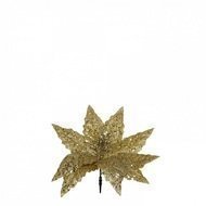 Triumph Tree  , 28 ,  , 
