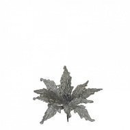 Triumph Tree  , 30 ,  , 