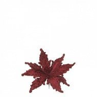 Triumph Tree  , 30 ,  , -