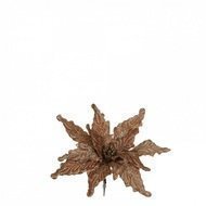 Triumph Tree  , 30 ,  , 