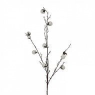 Triumph Tree   , 127 , 