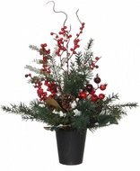 House of Seasons    , 4526 ,  