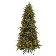 Triumph Tree   , 155 ,  136, -