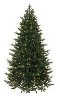 Triumph Tree    , 155 , 120 , 