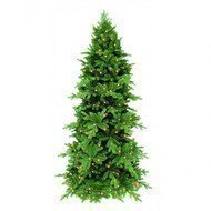 Triumph Tree  , 120 , 88 , 