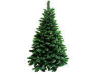 Triumph Tree    , 230 , 