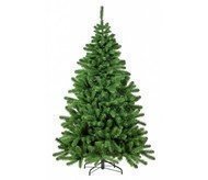 Triumph Tree  , 200 , 
