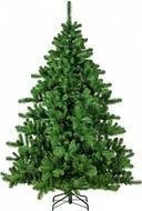 Triumph Tree  , 215 , 