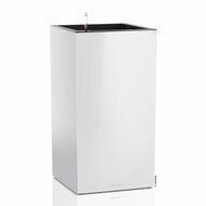 Lechuza    Canto Premium, 4076 ,  