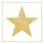 Paperproducts Design  Star Fashion gold , 16.516.5 , 20 .