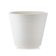 TeraPlast  Ribeira Essential, 3833 , 