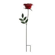 Gardman   Wild Rose, 75 , 