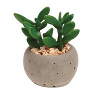 Gardman    Succulent Pot Plant, 68.5 , 