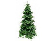 Triumph Tree   , 425 , 