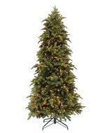 Triumph Tree   , 230 , 312 , 