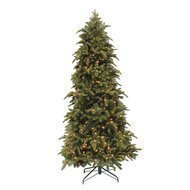 Triumph Tree   , 305 ,   576, -
