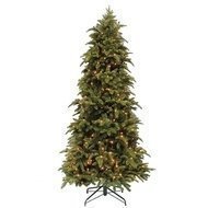Triumph Tree   , 365 ,  , 