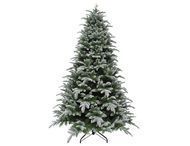Triumph Tree   , 260 , 