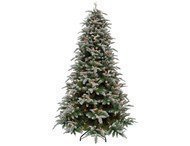 Triumph Tree   , 230 , 376 , 