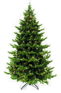 Triumph Tree   , 500 , 2584 , 
