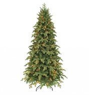 Triumph Tree   , 600 , 3728 , 