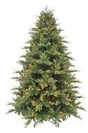 Triumph Tree   , 260 ,   480, 