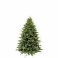 Triumph Tree    FULL PE, 155 , 