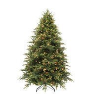 Triumph Tree    FULL PE, 185 ,   232, 