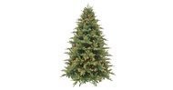 Triumph Tree    FULL PE, 215 ,   328, 