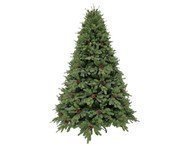 Triumph Tree  , 155 , 