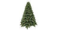 Triumph Tree  , 230 , 
