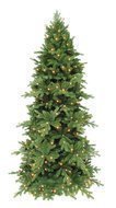 Triumph Tree  , 365 , 648 , 