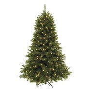 Triumph Tree   , 305 , 752 , 