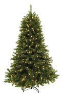 Triumph Tree   , 365 , 1088 , 
