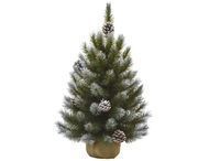 Triumph Tree  , 60 ,  ,  , 