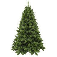 Triumph Tree    , 215 , 